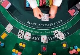 36t bet 36t bet